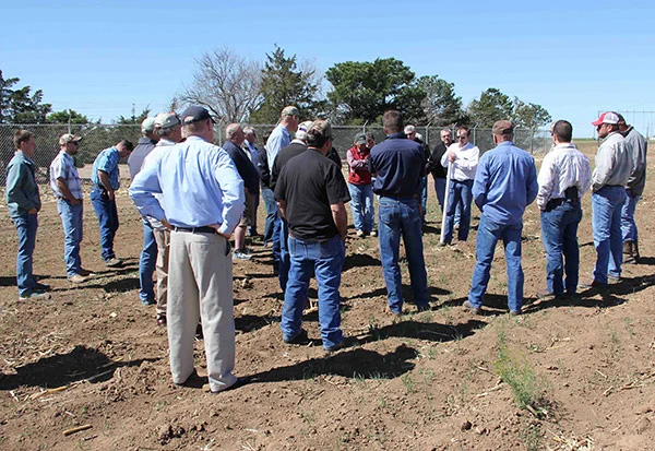 Master Irrigator Probe Master Irrigator Probe