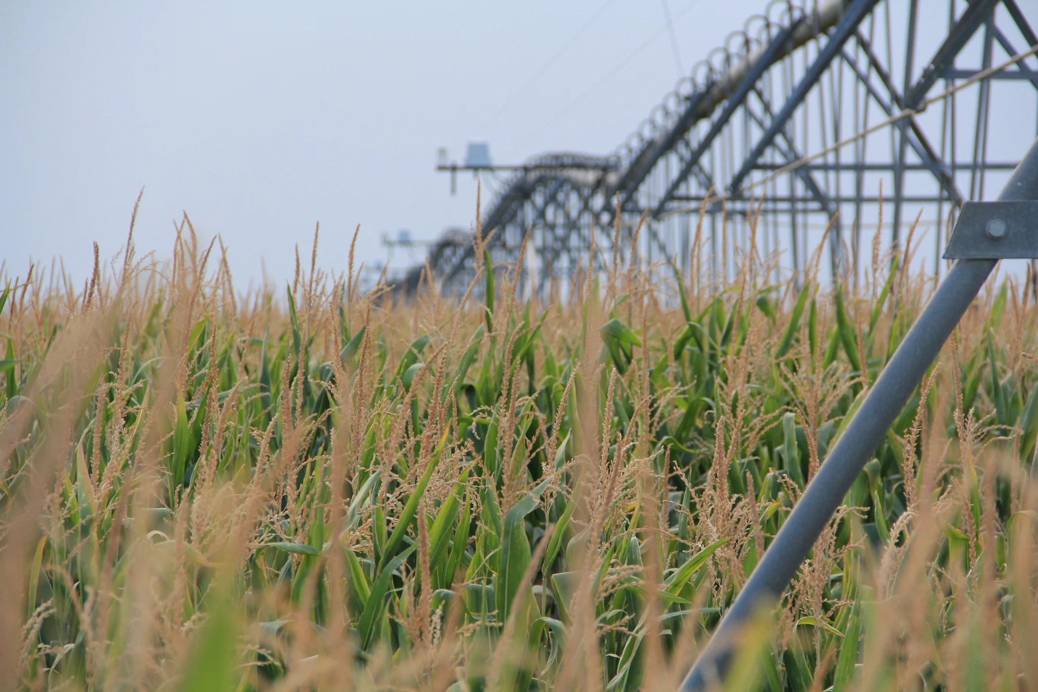Agricultural Conservation
