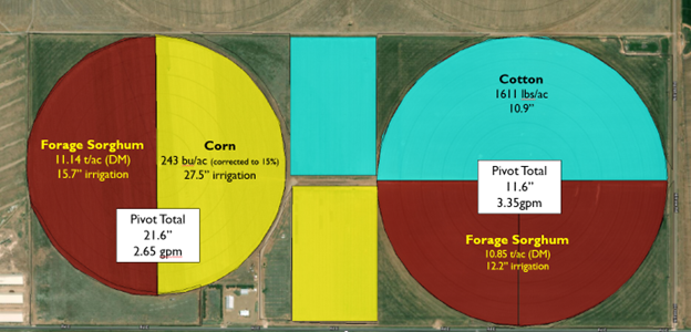 2024 planting map that shows the locations of corn, cotton and forage sorghum on the east and west pivots at the WCC. This also shows the yield and amount of water applied to each crop during the 2024 season.