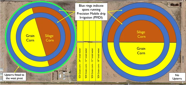 Pivot Layout