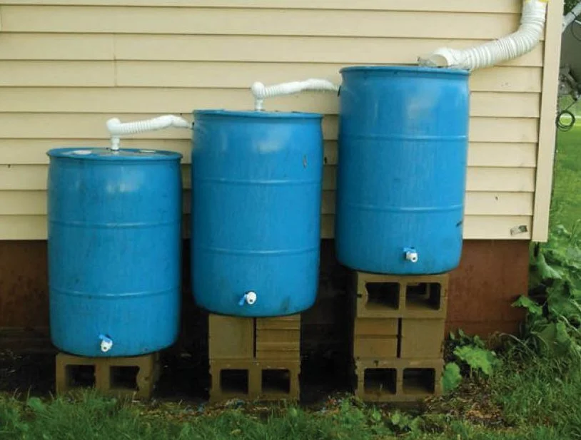 Maximizing Water Use Through Rainwater Harvesting