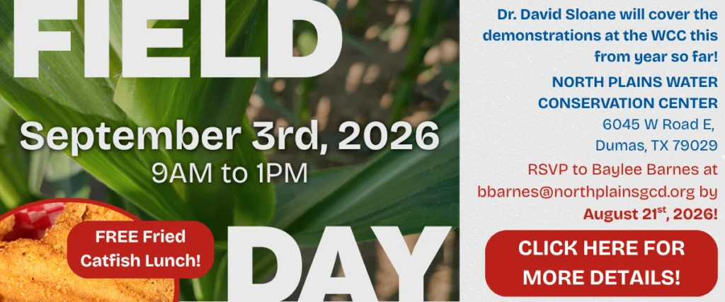Field-Day-Banner-1-1024x427